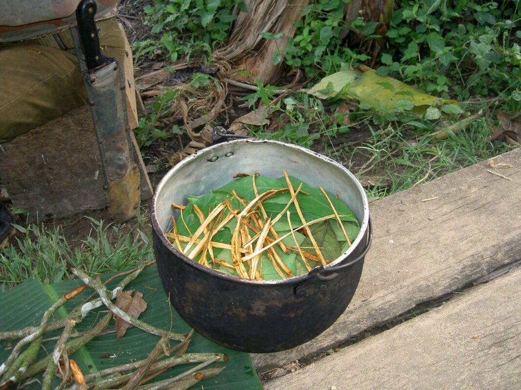 Ayahuasca Therapeutic Potential